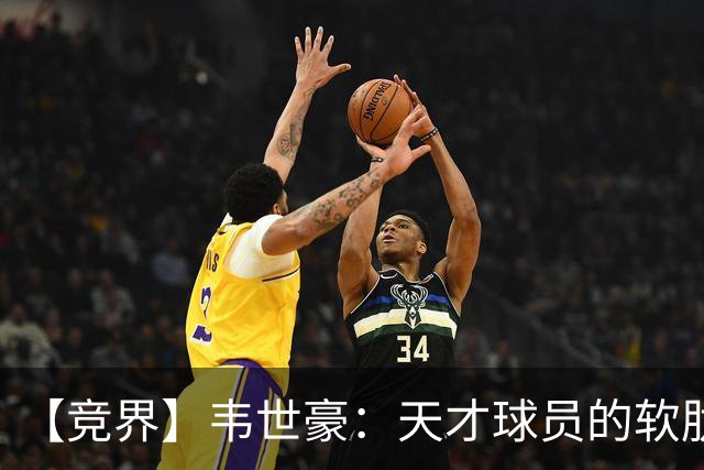 【竞界】韦世豪：天才球员的软肋 洪七公效应的外溢